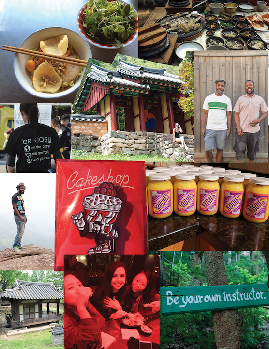 Noochies Story Collage - Seoul to Canada